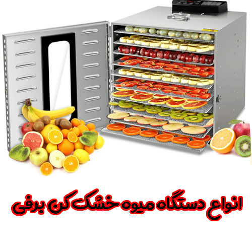 انواع دستگاه میوه خشک کن برقی