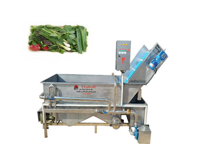 اهمیت شستشوی سبزیجات در فرآیند ایمن سازی غذا