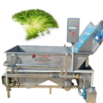 دستگاه شستشوی سبزی برای راه اندازی کارگاه تولید سالاد