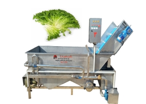 دستگاه شستشوی سبزی برای راه اندازی کارگاه تولید سالاد