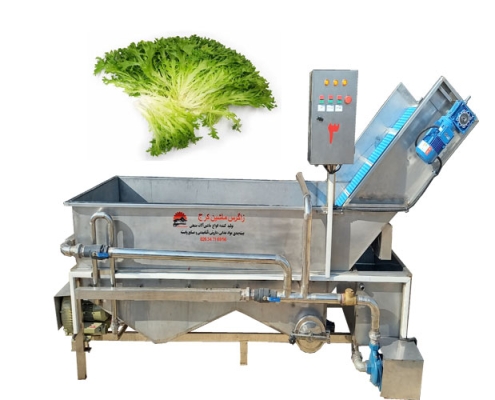 دستگاه شستشوی سبزی برای راه اندازی کارگاه تولید سالاد