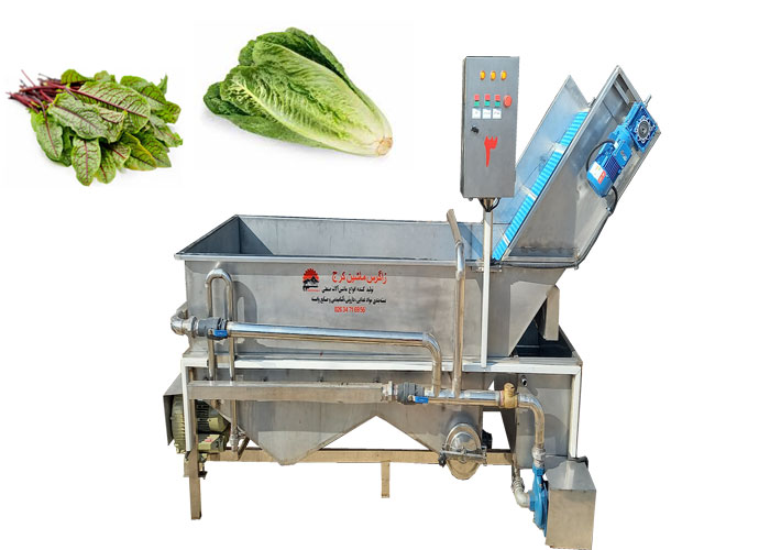 نقش دستگاه های شستشو در بهبود کیفیت سالاد