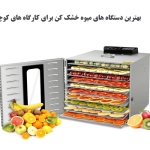 بهترین دستگاه های میوه خشک کن برای کارگاه های کوچک