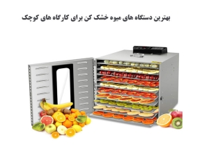 بهترین دستگاه های میوه خشک کن برای کارگاه های کوچک