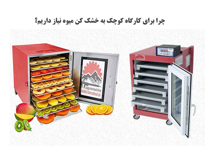چرا برای کارگاه کوچک به خشک کن میوه نیاز داریم؟