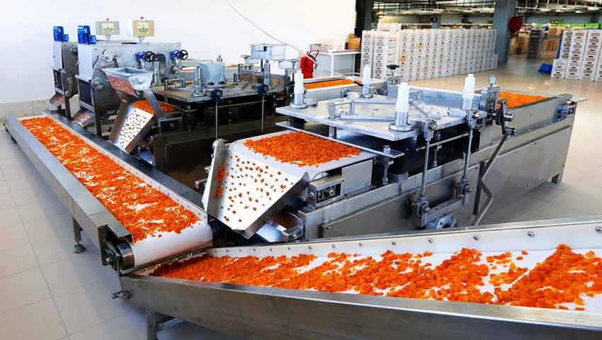 تفکیک هزینه های راه اندازی خط تولید میوه خشک