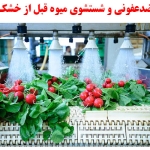 نحوه ضدعفونی و شستشوی میوه قبل از خشک کردن