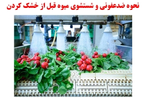 نحوه ضدعفونی و شستشوی میوه قبل از خشک کردن
