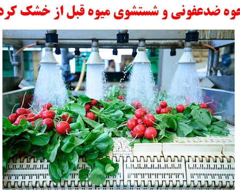 نحوه ضدعفونی و شستشوی میوه قبل از خشک کردن