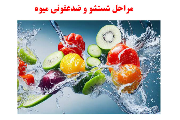 مراحل شستشو و ضدعفونی میوه