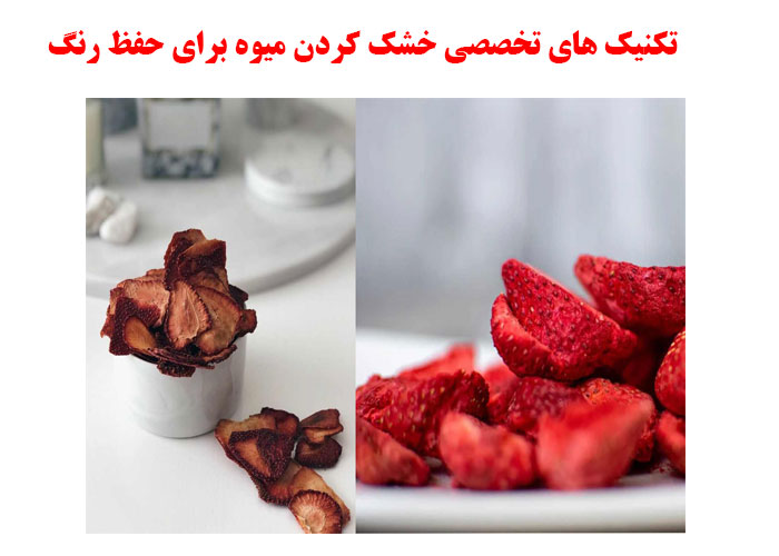 تکنیک های تخصصی خشک کردن میوه برای حفظ رنگ