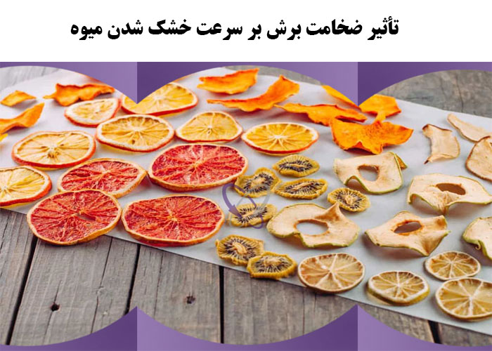 تأثیر ضخامت برش بر سرعت خشک شدن میوه